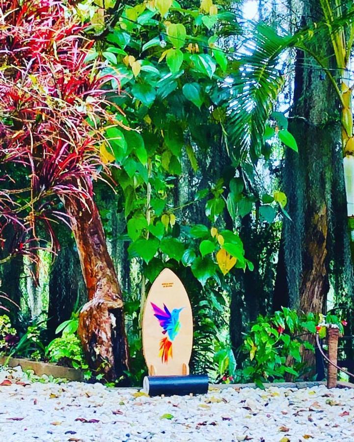 مبيت وإفطار ميديلين Eco Hostal Casa La Juana المظهر الخارجي الصورة